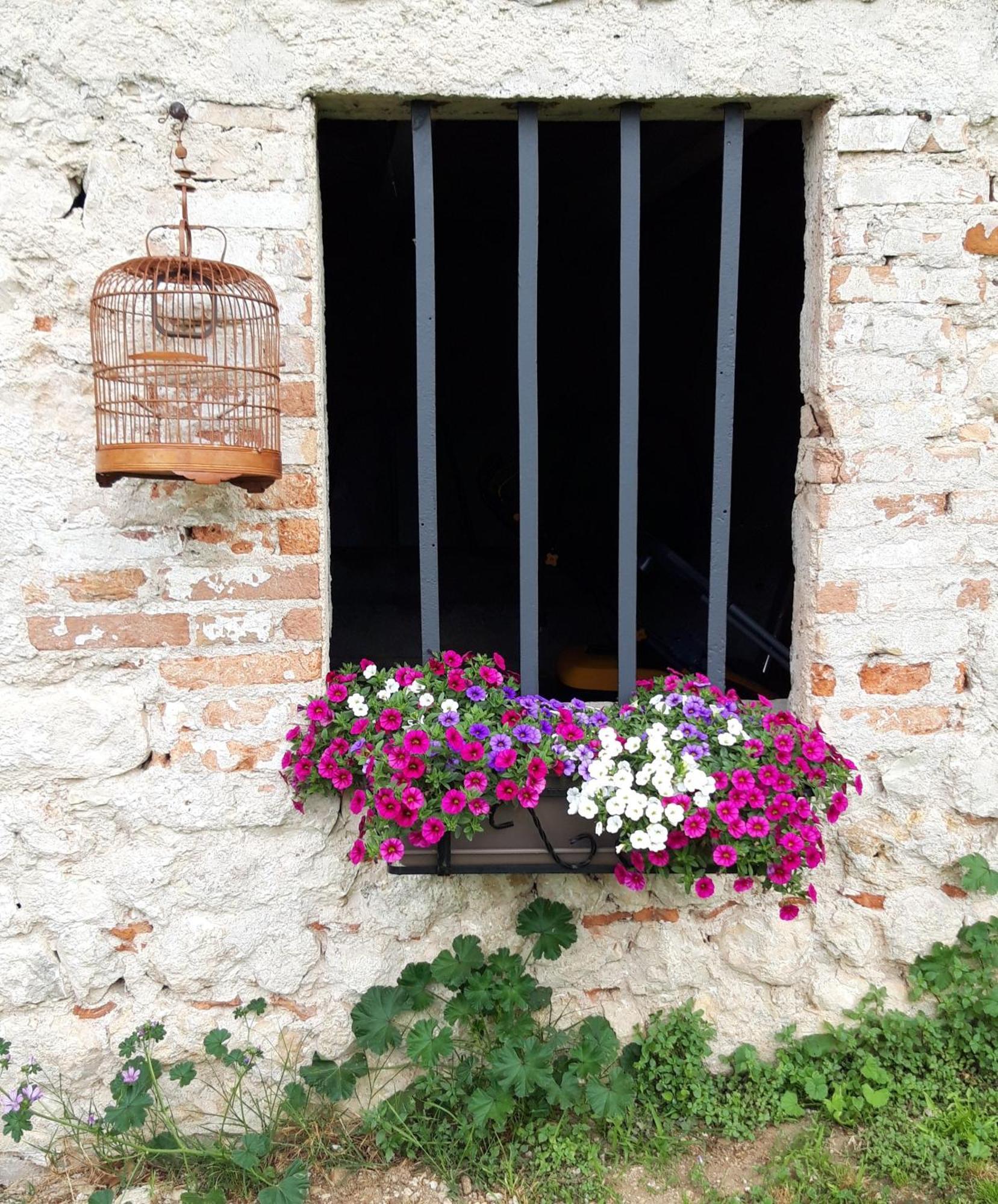 Casa Paola Apartment Borso del Grappa Exterior photo