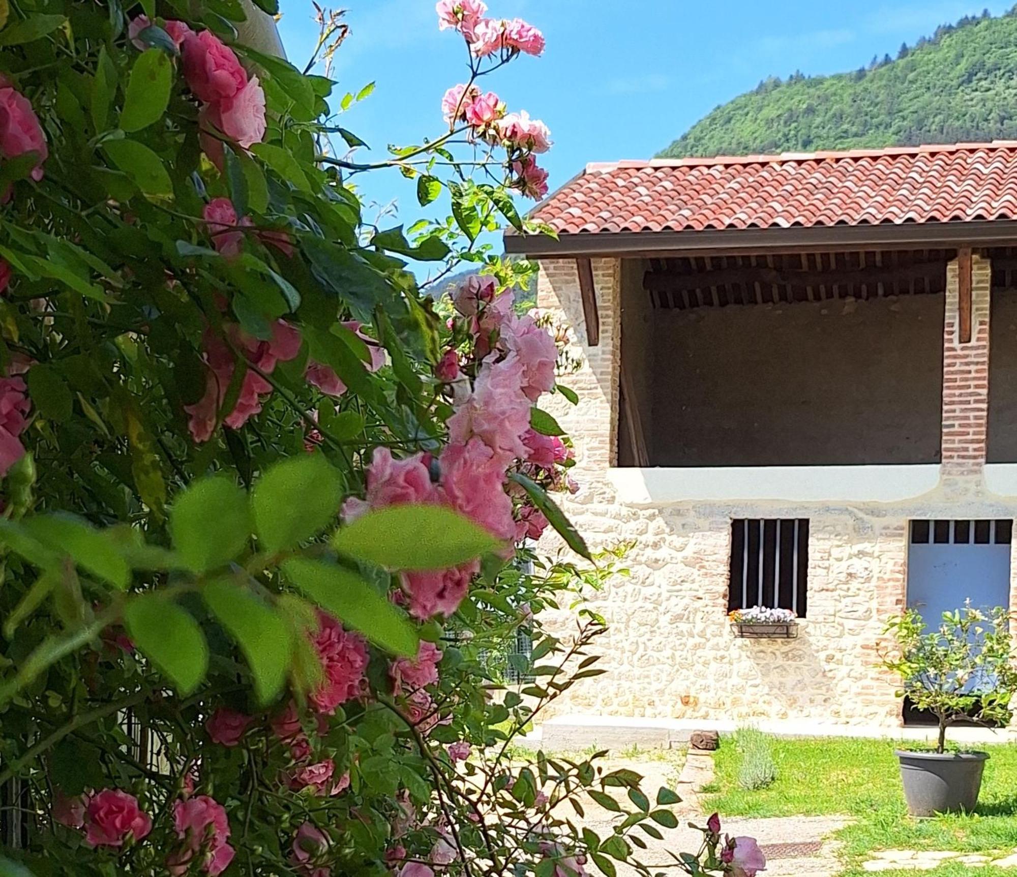 Casa Paola Apartment Borso del Grappa Exterior photo